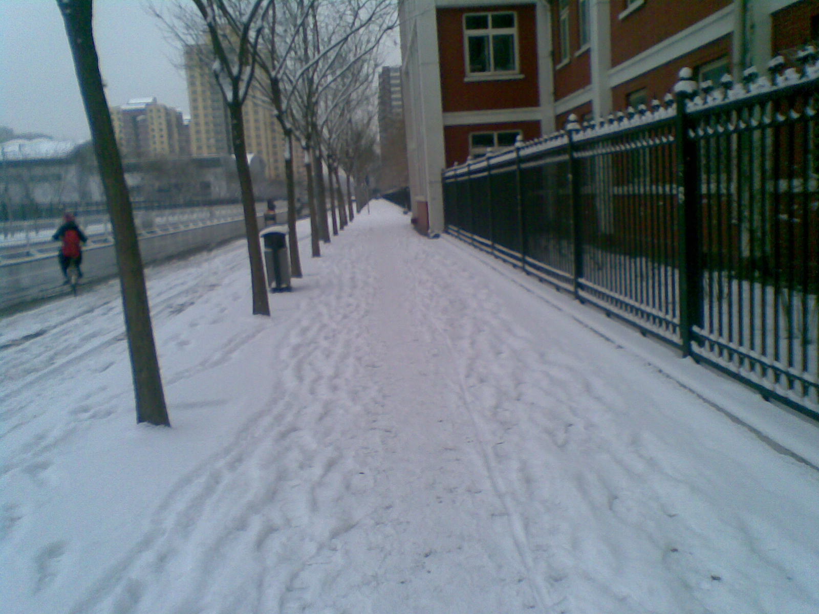 20110213.jpg